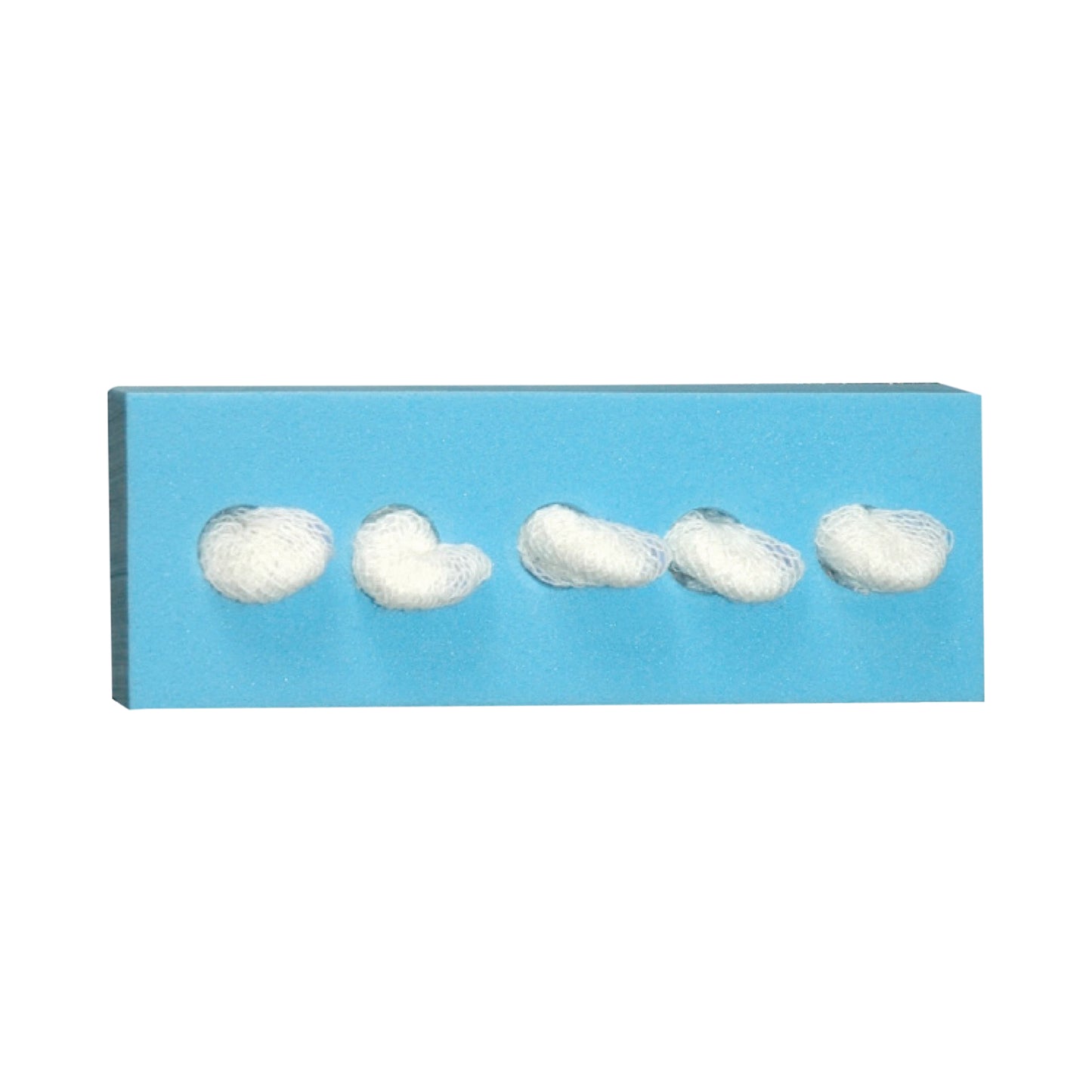 Sterile 1/2" Cherry Sponge, C-5 Holder