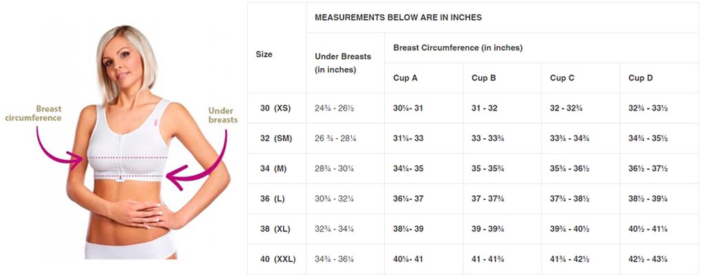 LIPOELASTIC® PS Ideal Variant - Implant Stabiliser Bra - Seamless Heat  Moulded Cup with New Technology of Elastic Band