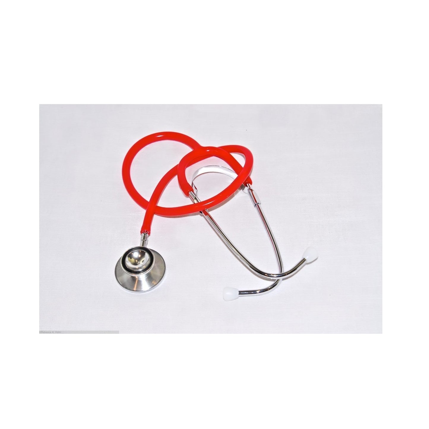 Dual Head Nurses Scope, Blue