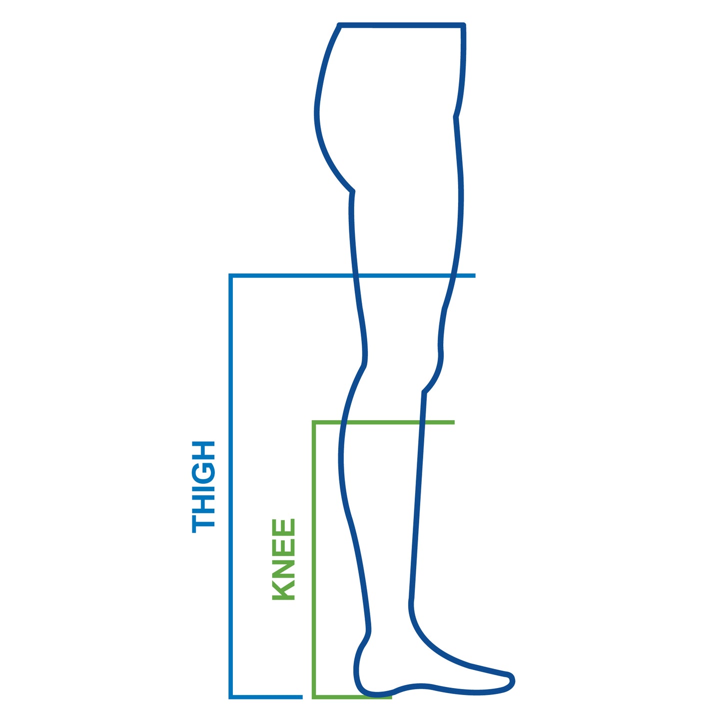 DynaFit Regular Compression Stockings, Knee